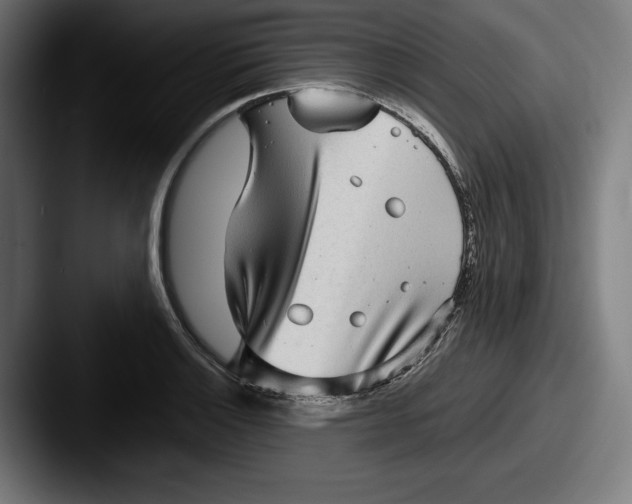 X0000087581132200705181156