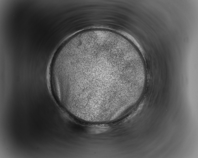 X0000087581133200705181156