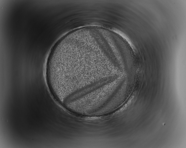 X0000087581135200705181156