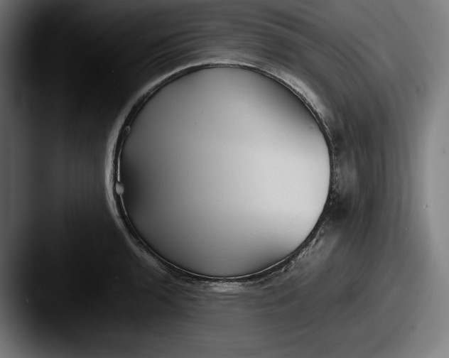 X0000087581136200705181156