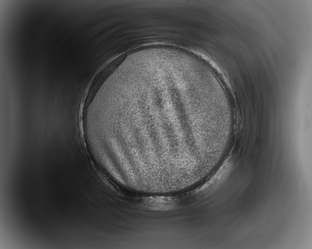 X0000087581137200705181156