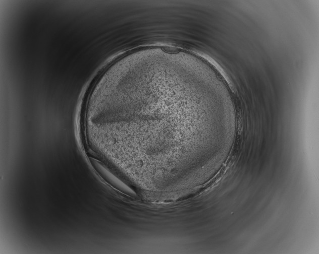 X0000087581139200705181156