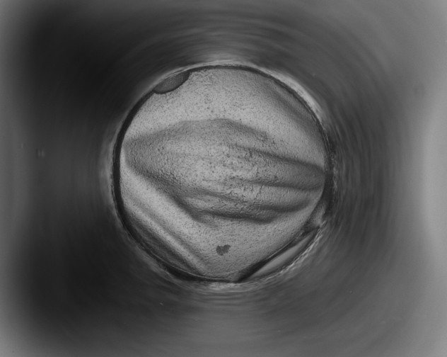 X0000087581142200705181156