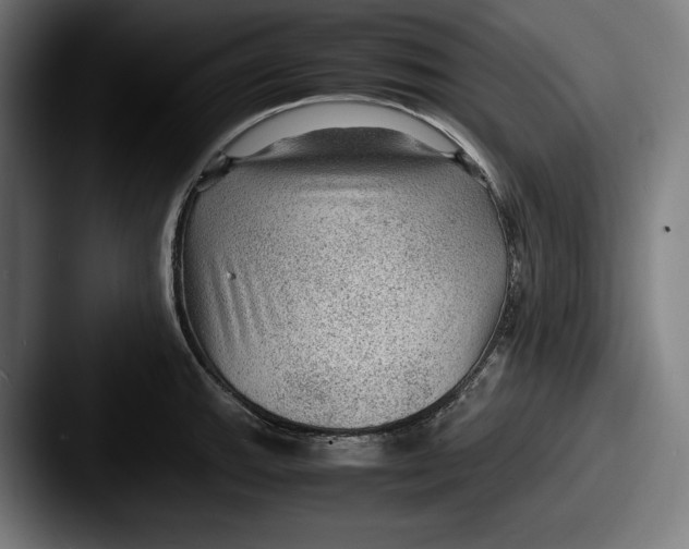 X0000087581143200705181156