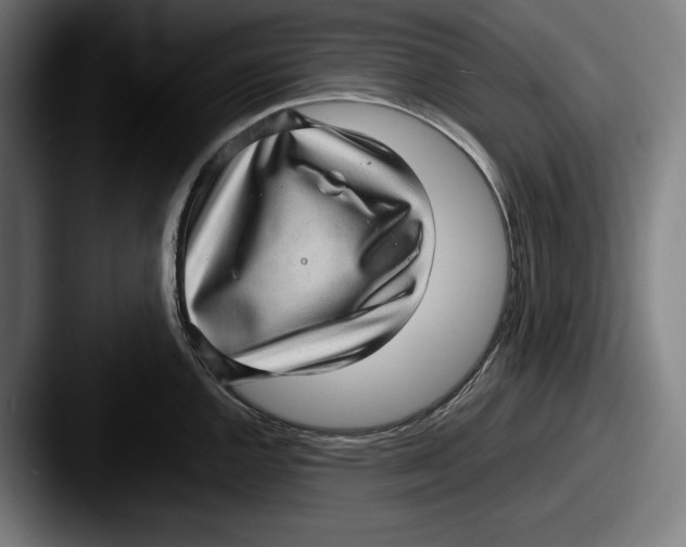 X0000087581144200705181156