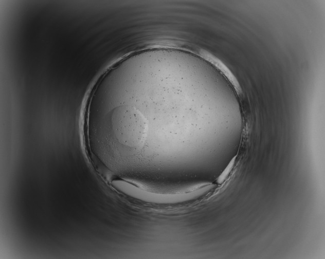 X0000087581146200705181156