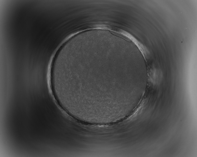 X0000087581147200705181156
