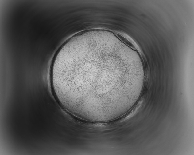 X0000087581149200705181156