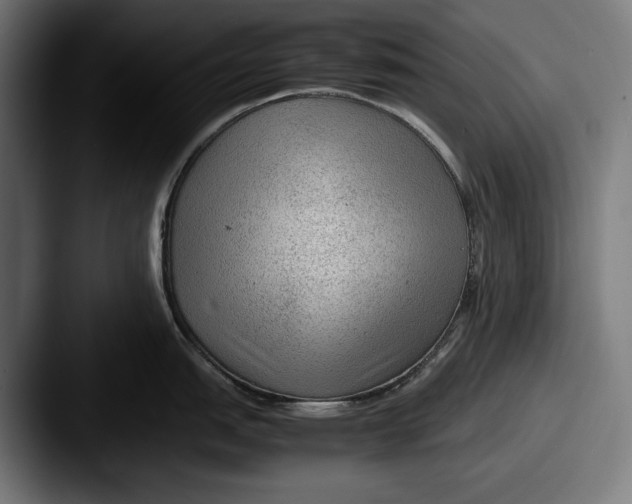 X0000087581151200705181156
