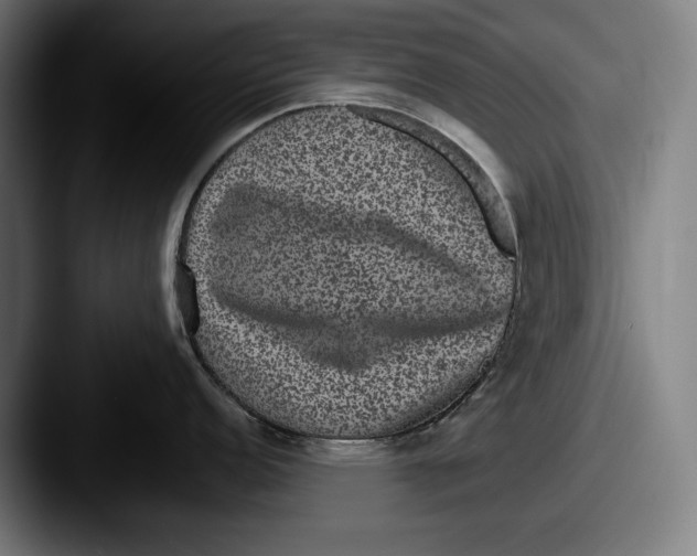 X0000087581152200705181156