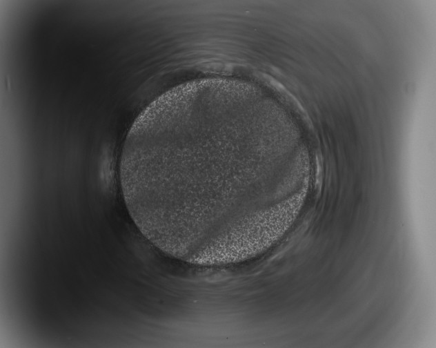 X0000087581154200705181156