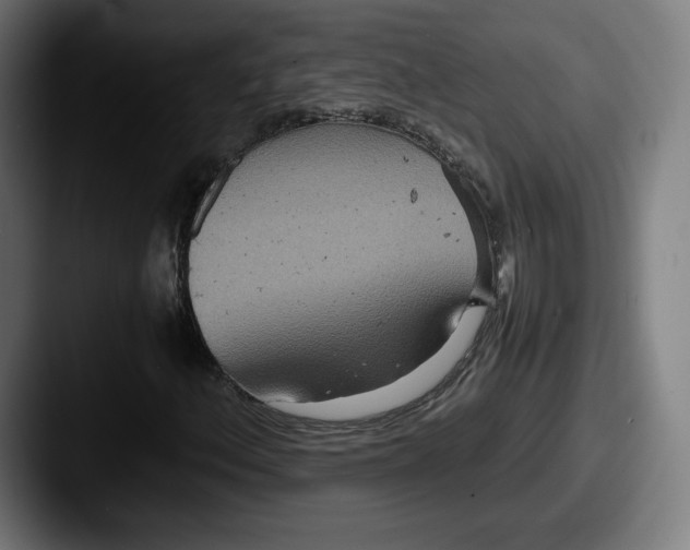 X0000087581156200705181156