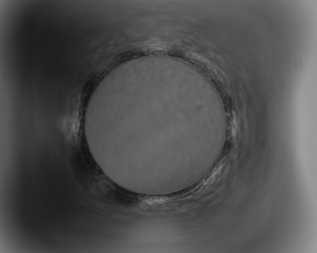 X0000087581157200705181156