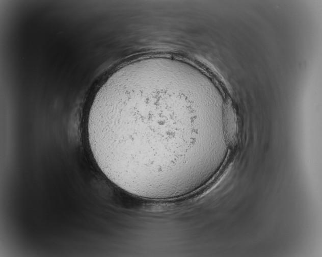 X0000087581163200705181156