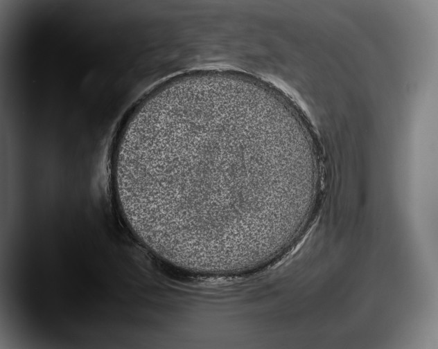 X0000087581167200705181156