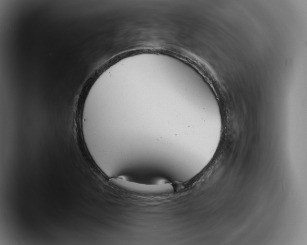 X0000087581168200705181156