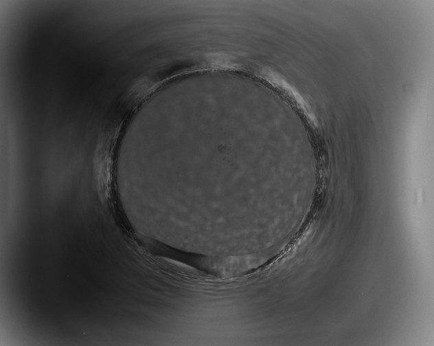 X0000087581169200705181156
