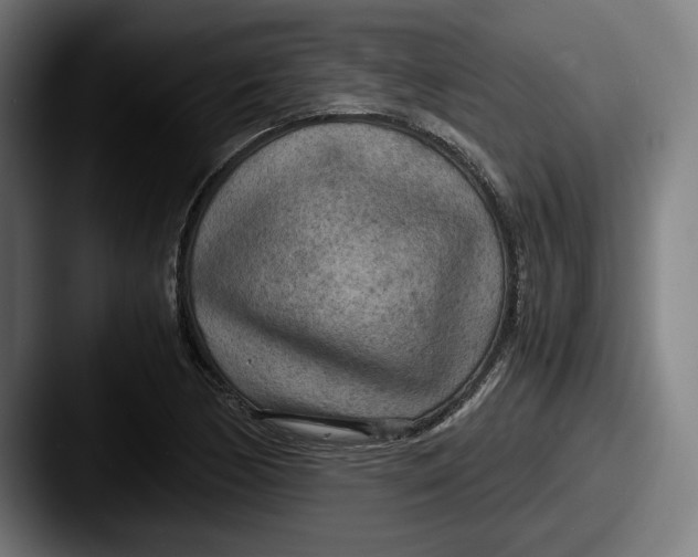 X0000087581170200705181156