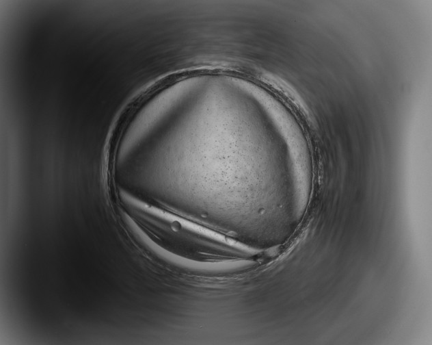 X0000087581172200705181156