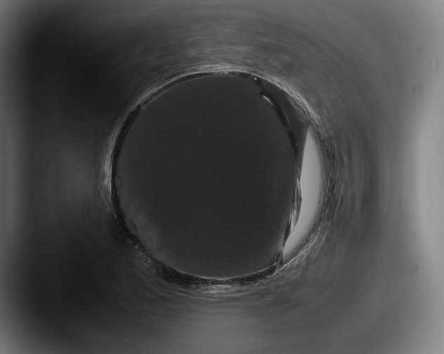 X0000087581173200705181156
