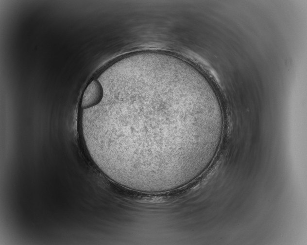X0000087581174200705181156