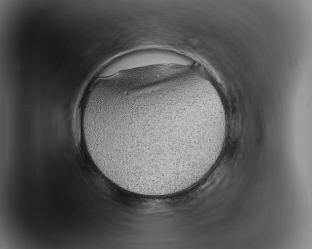 X0000087581175200705181155