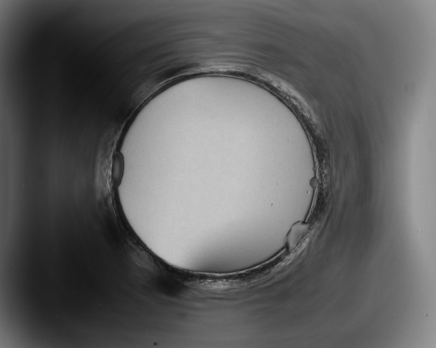 X0000087581177200705181155