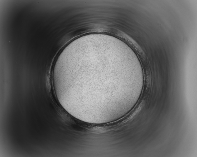 X0000087581178200705181155