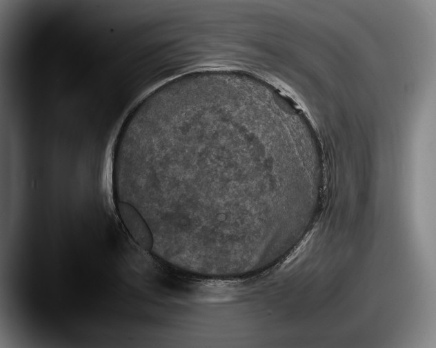 X0000087581179200705181155