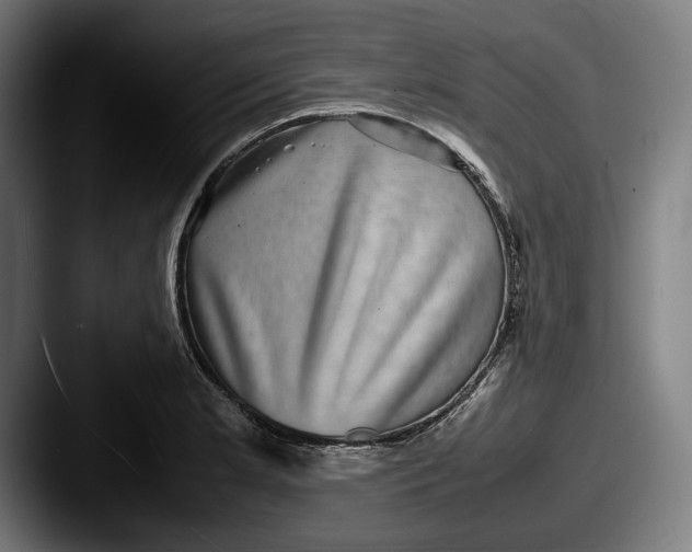 X0000087581181200705181155