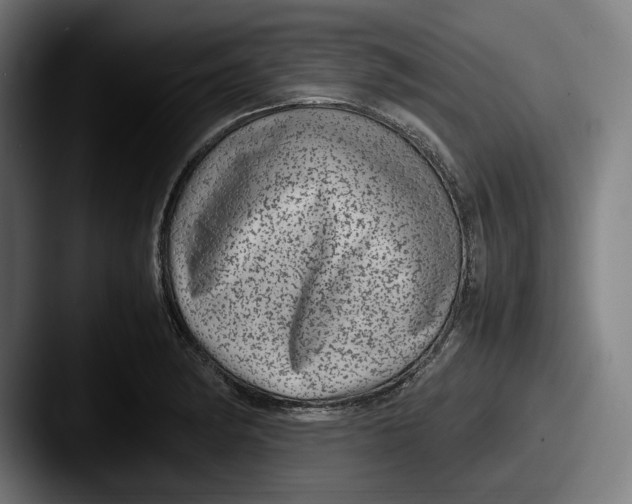X0000087581182200705181155