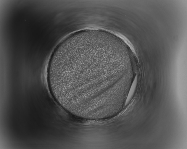X0000087581183200705181155