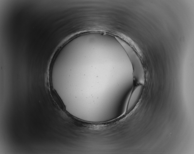 X0000087581184200705181155