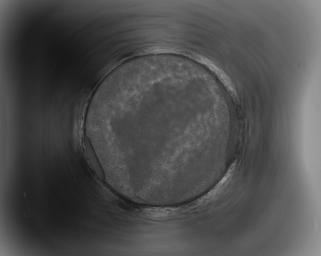 X0000087581185200705181155