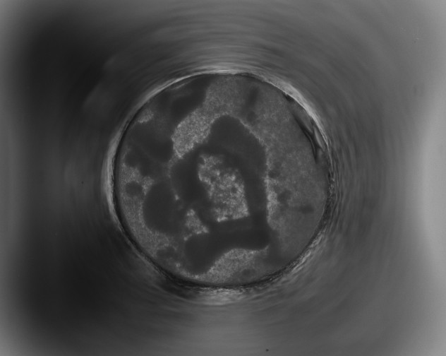 X0000087581187200705181155