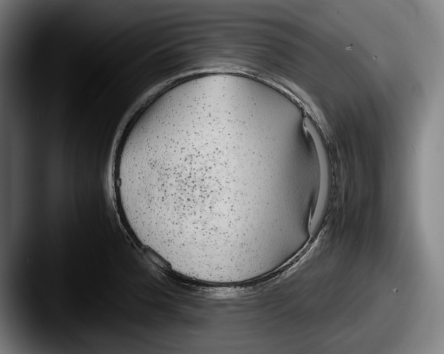 X0000087581188200705181155
