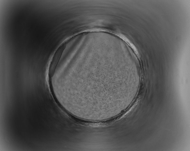 X0000087581189200705181155