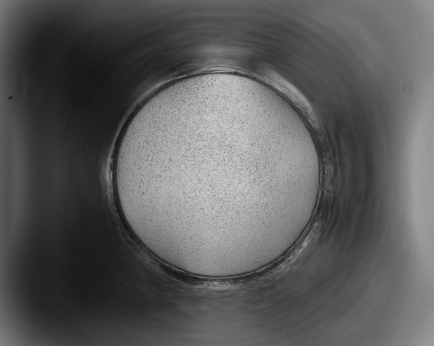 X0000087581190200705181155