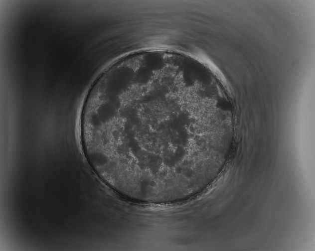 X0000087581191200705181155