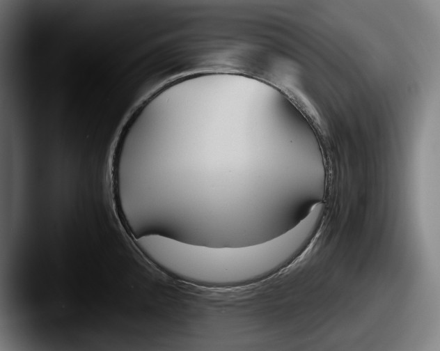 X0000087581192200705181155