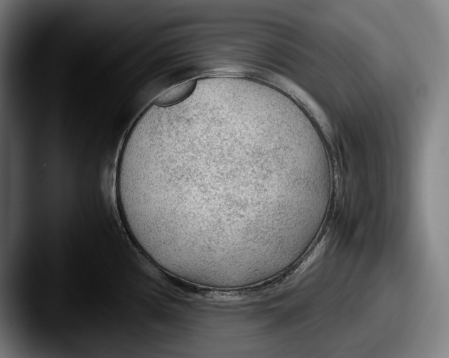 X0000087581194200705181155