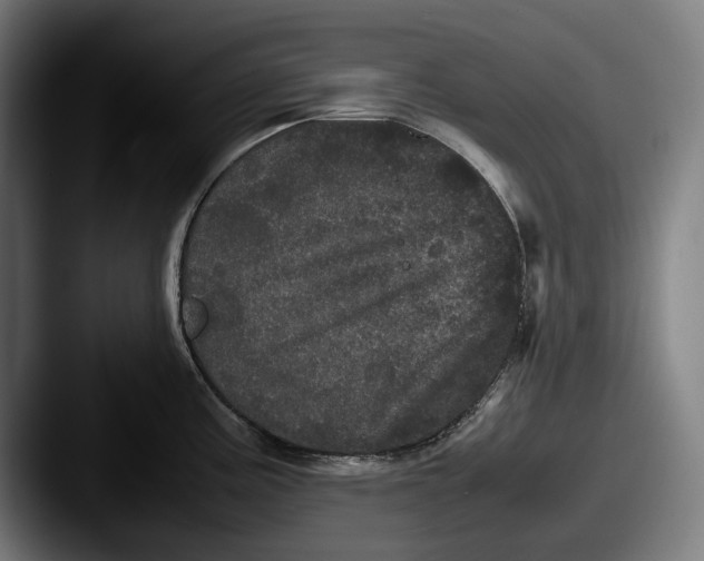 X0000087581195200705181155