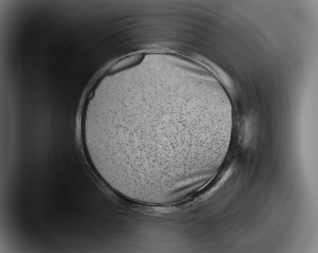 X0000087581196200705181155