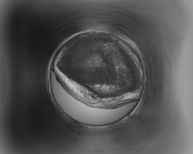 X0000087581200200705181155