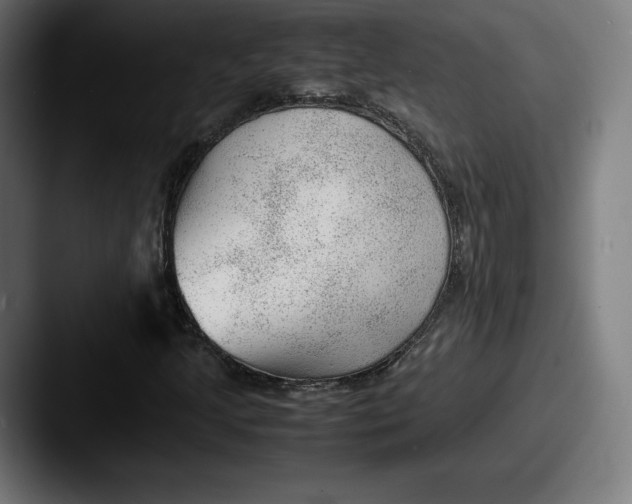 X0000087581205200705181155