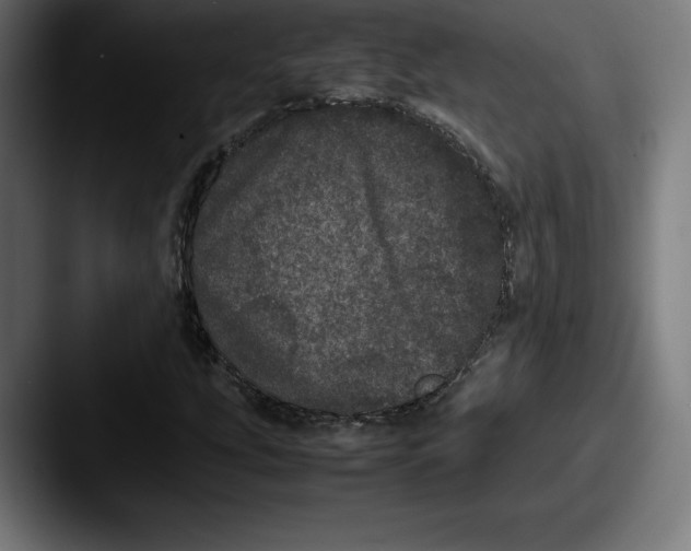 X0000087581207200705181155