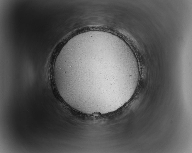 X0000087581208200705181155