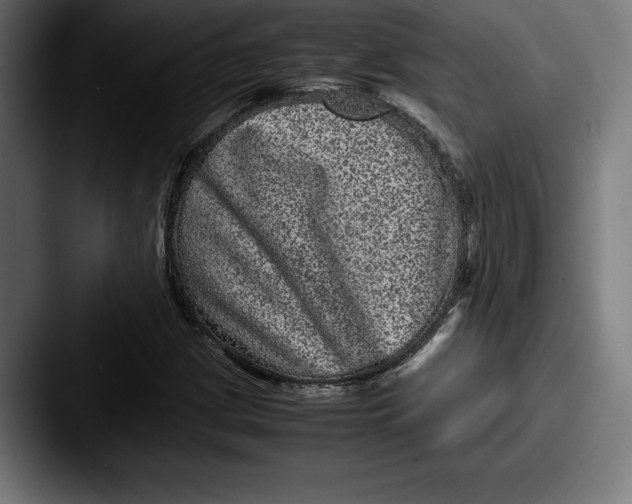 X0000087581209200705181155
