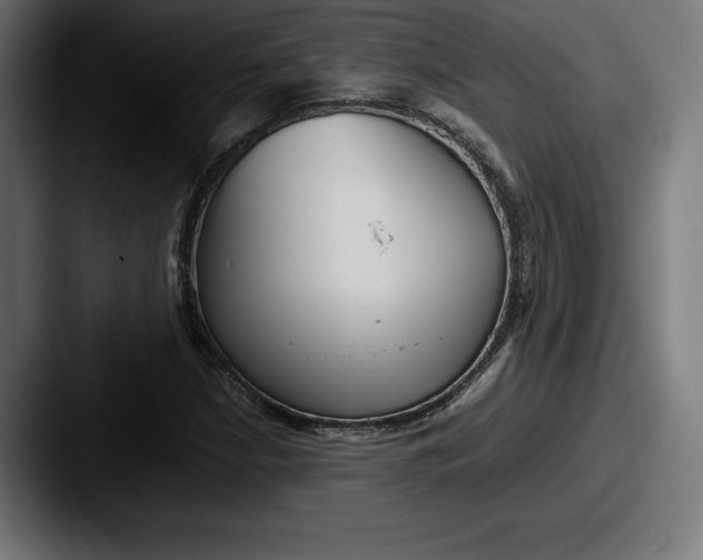 X0000087581210200705181155