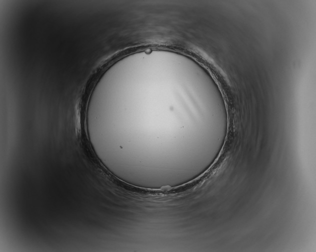 X0000087581214200705181155